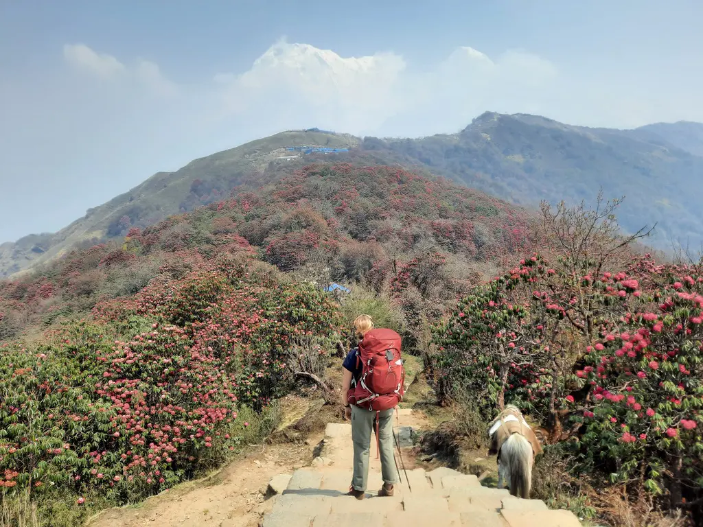 Groepsreis Nepal - WeAdventures Nepal - groepsreizen Nepal - rondreis Nepal