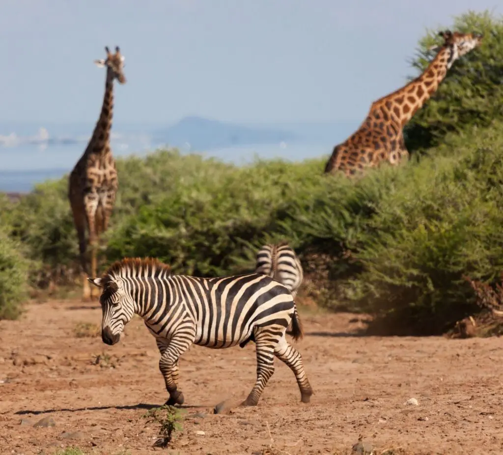 Groepsreis Bostwana - weadventures Bostwana - Rondreis Bostwana