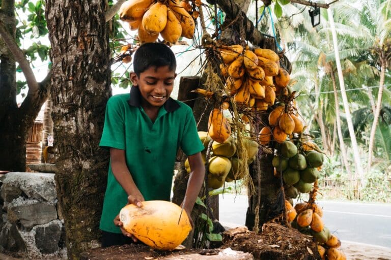 Groepreis in Sri Lanka