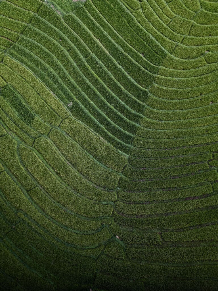Groepsreis Sri Lanka