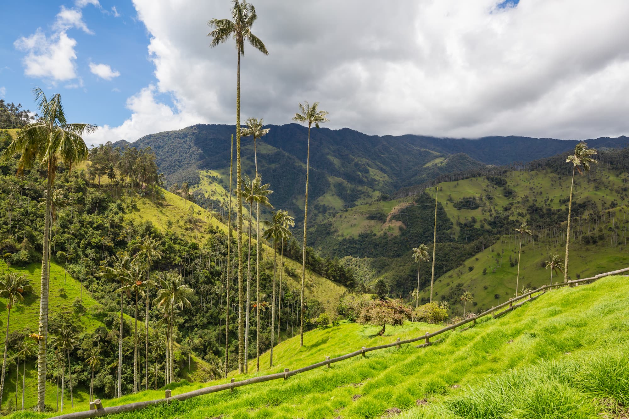 groepsreis colombia - singlereis colombia - beste reistijd colombia - rondreis colombia - backpacken colombia - cocora valley