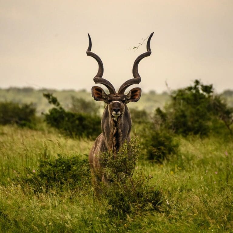 Groepsreis Zuid-Afrika rondreis