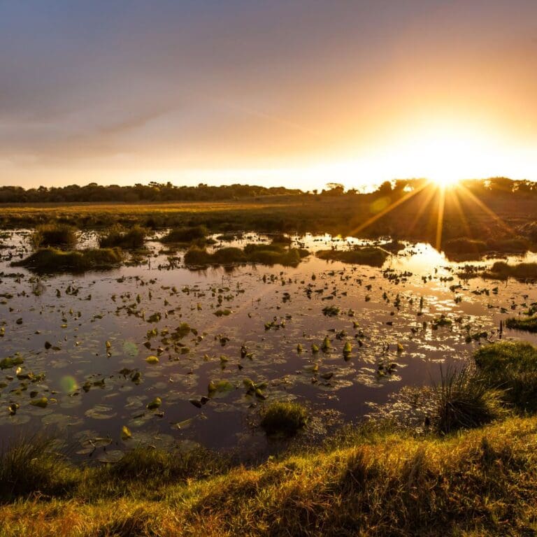 Groepsreis Zuid-Afrika - rondreis zuid afrika