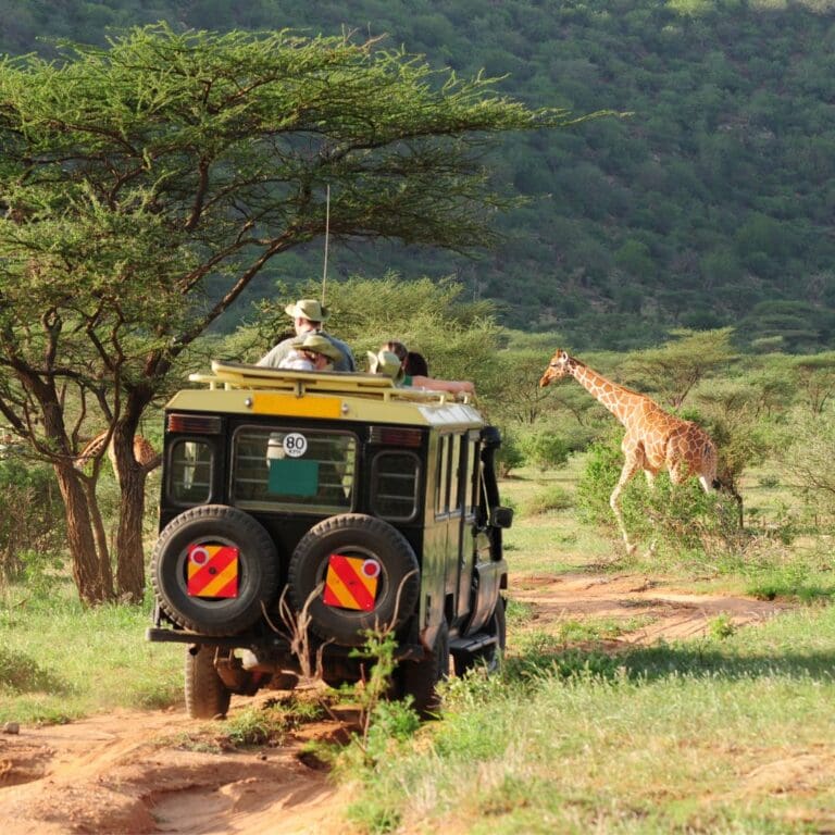 Groepsreis Zuid-Afrika - rondreis zuid afrika