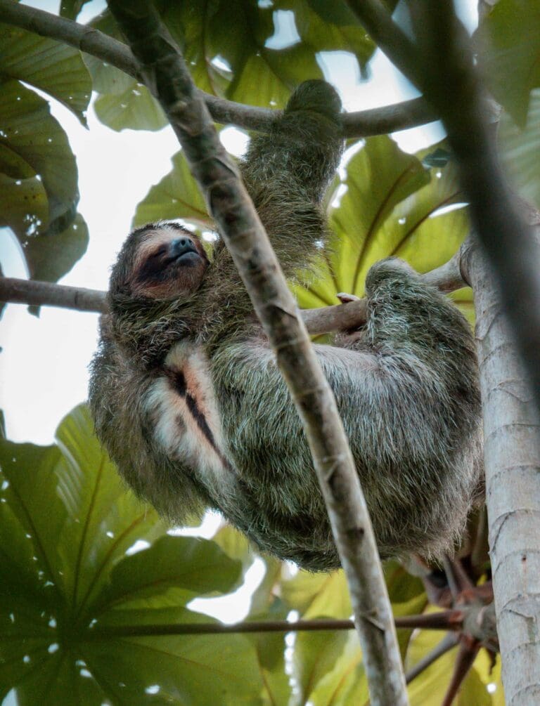 Groepsreis costa rica - rondreis costa rica - beste reistijd costa rica