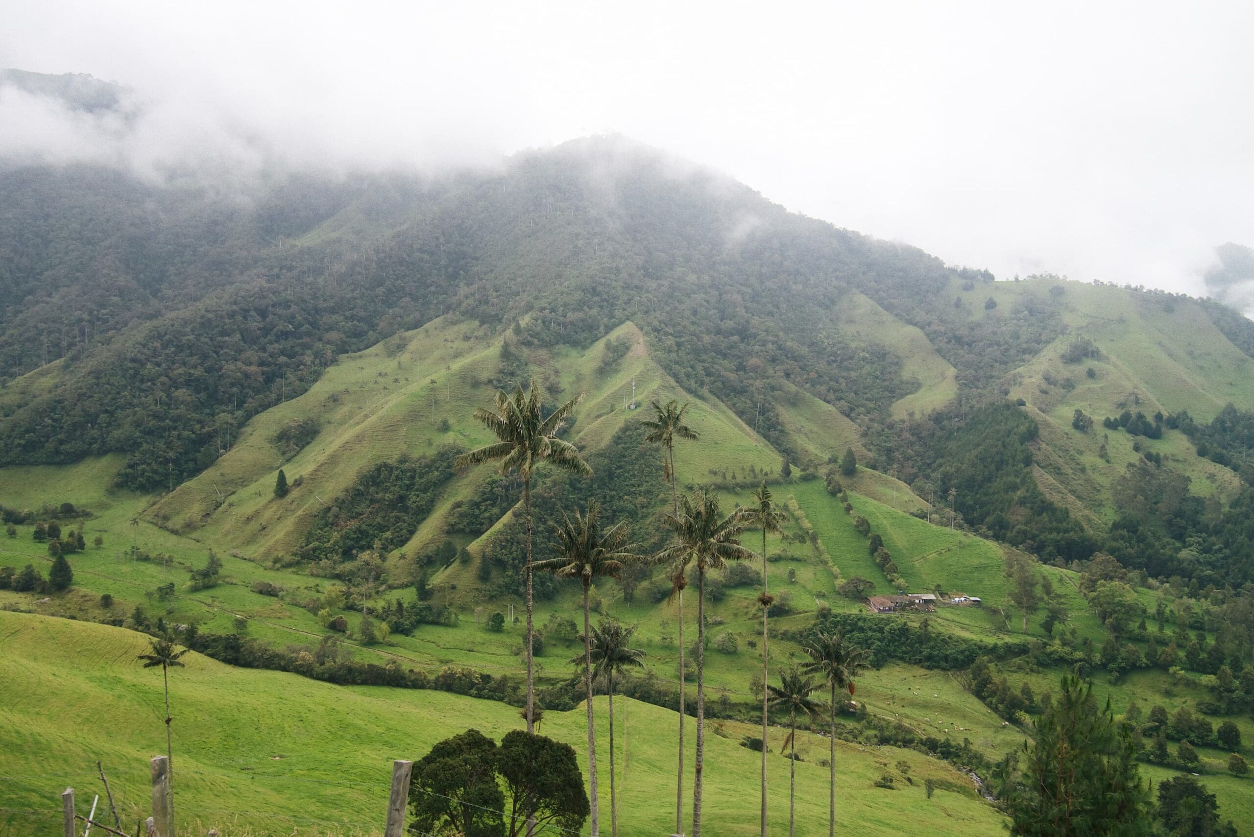 beste reistijd colombia - groepsreis colombia - rondreis colombia - backpacken colombia