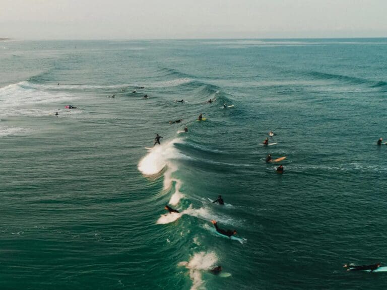 Surf Tribe