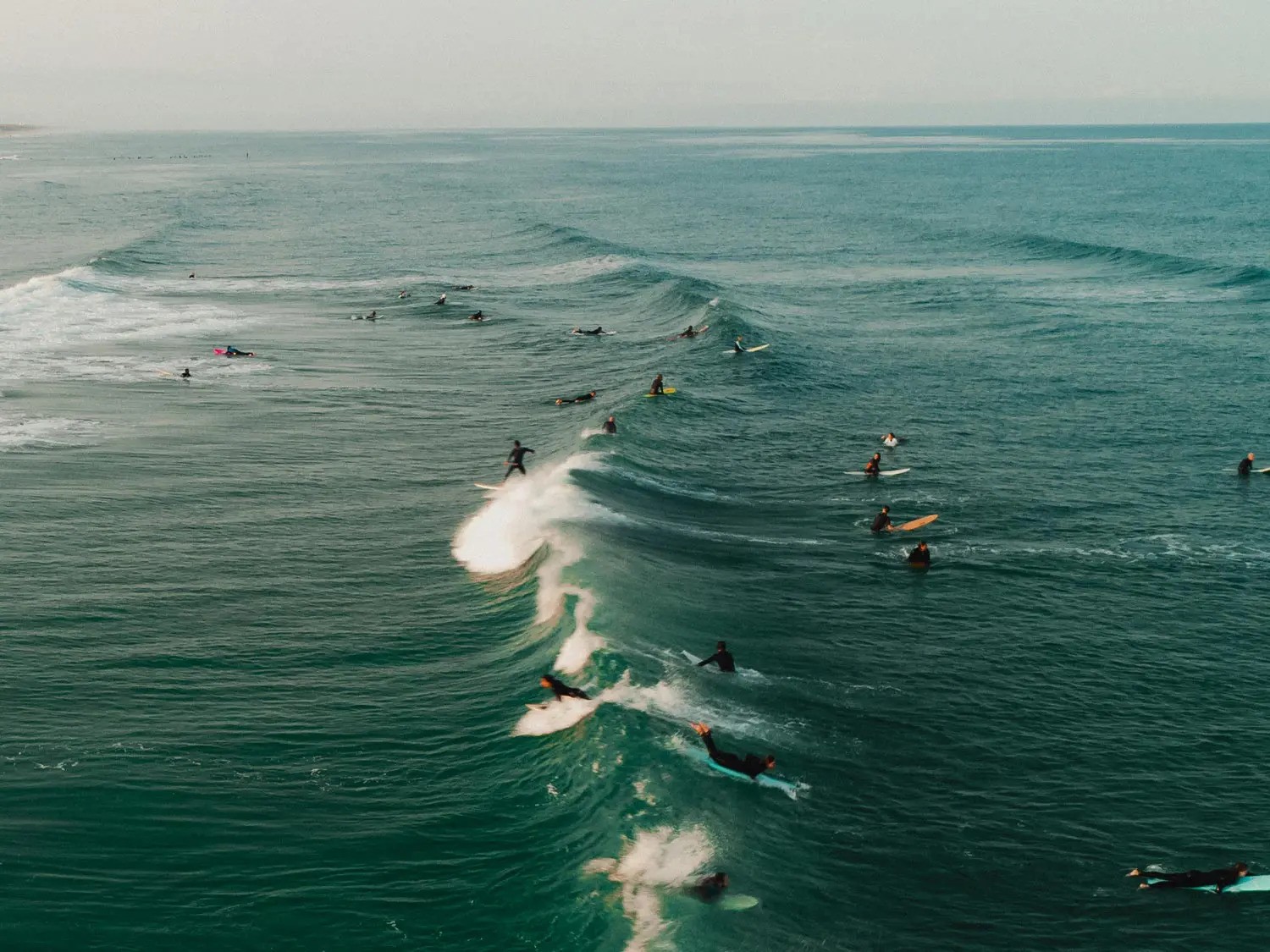 Surf Tribe
