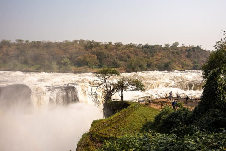 Groepsreis Oeganda - Murchison Falls