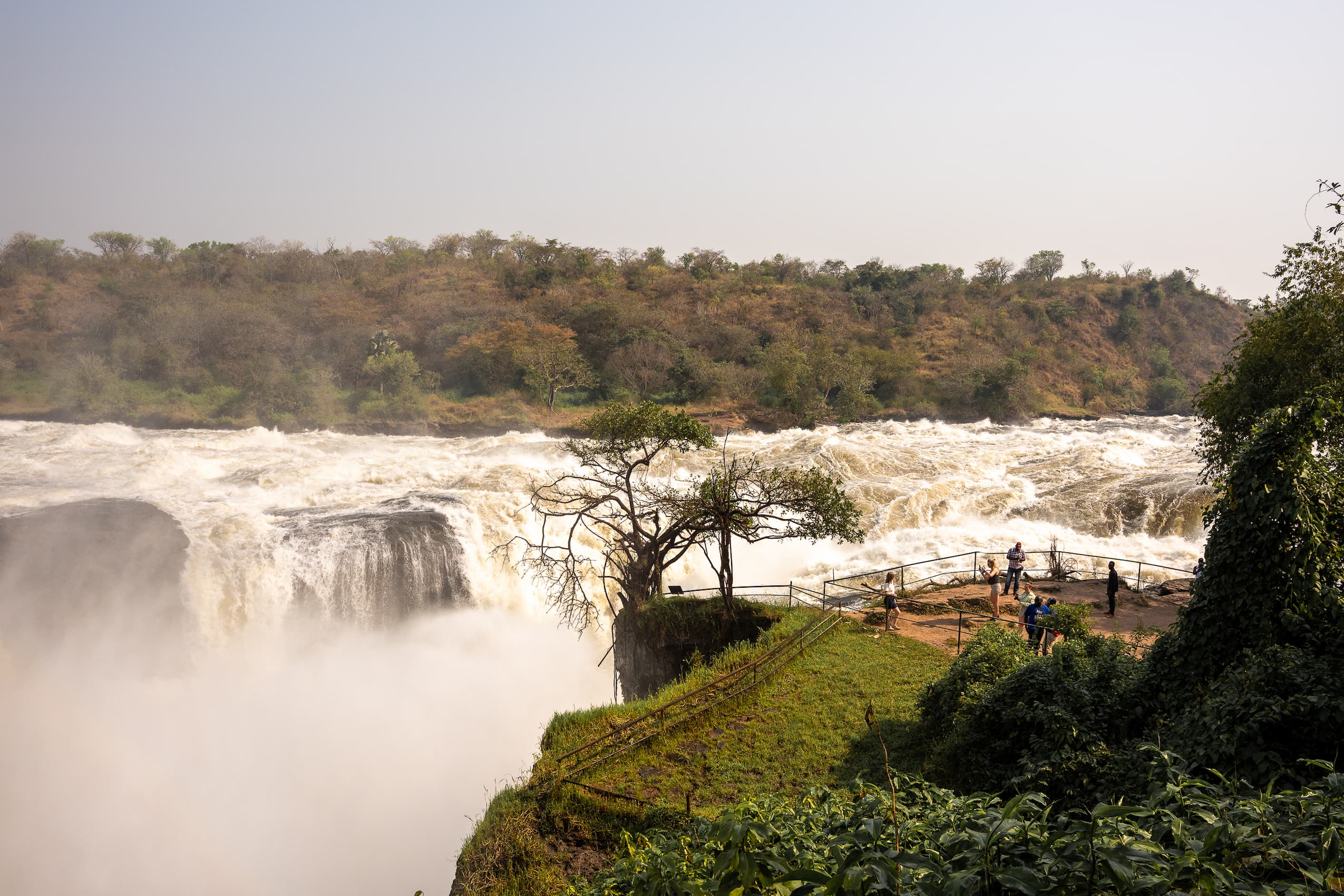 Groepsreis Oeganda - Murchison Falls