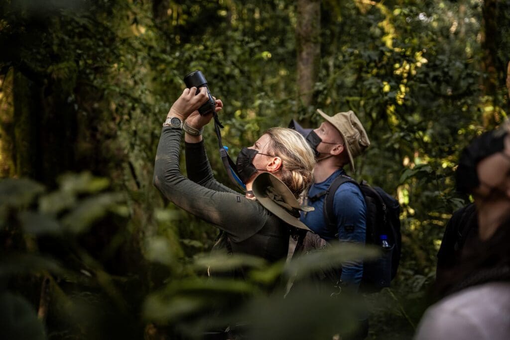 Groepsreis Oeganda - chimpanseesafari Oeganda