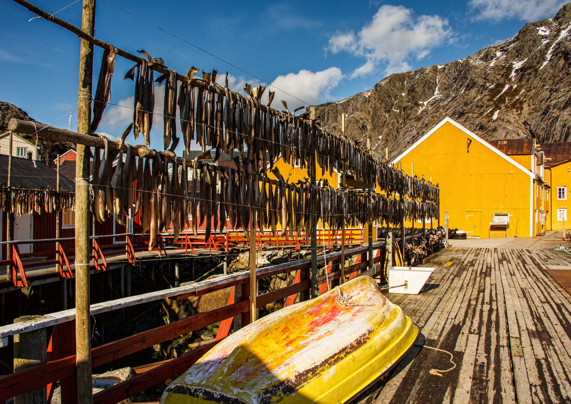 lofoten