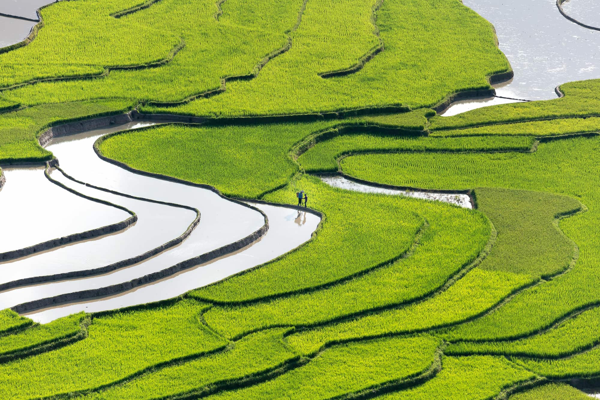 Beste reistijd Vietnam: alles over het klimaat en de ideale reismaanden -Groepsreis Vietnam - Rondreis Vietnam - Rondreis in 3 weken