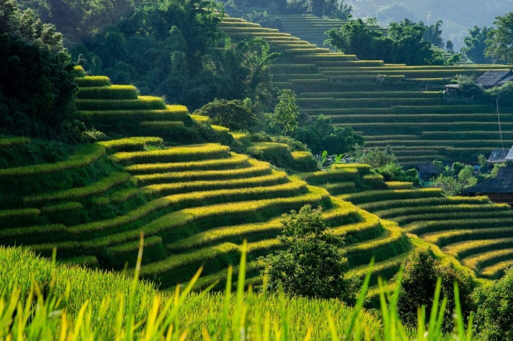 Beste reistijd Vietnam: alles over het klimaat en de ideale reismaanden - Groepsreis Vietnam - Rondreis Vietnam - Rondreis in 3 weken