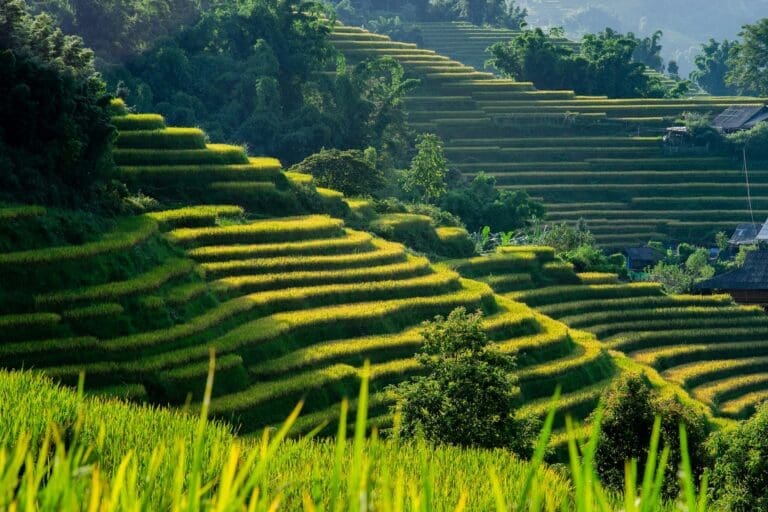 Beste reistijd Vietnam: alles over het klimaat en de ideale reismaanden - Groepsreis Vietnam - Rondreis Vietnam - Rondreis in 3 weken