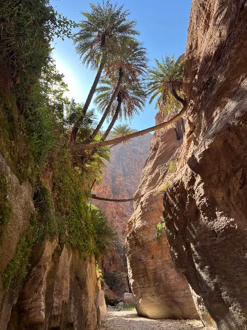 groepsreis jordanië