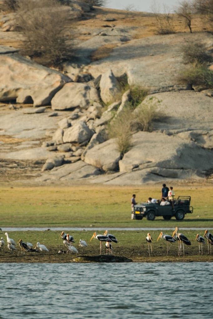 WA India