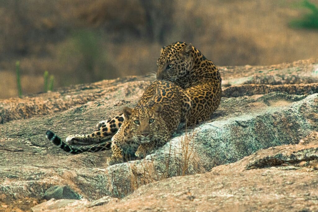 Groepsreis India - weadventures india