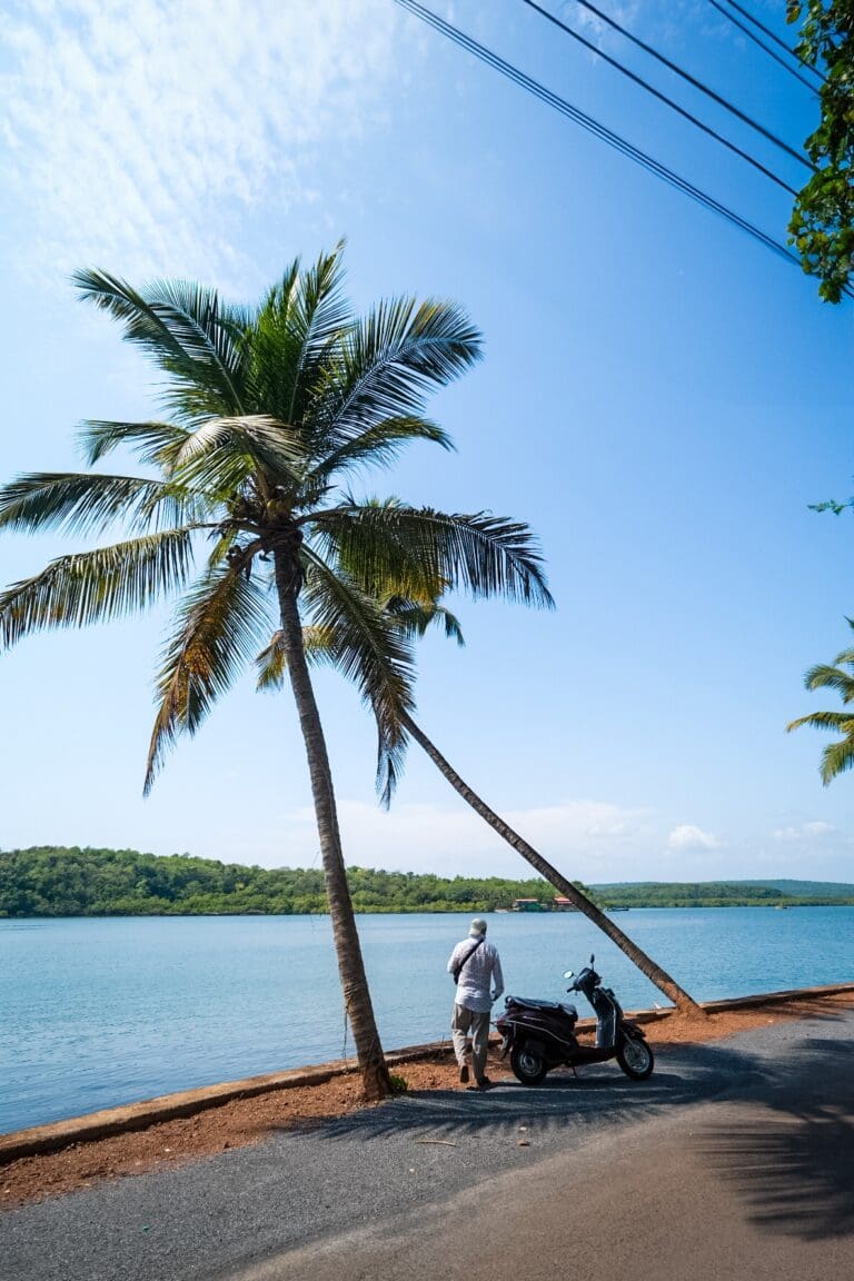 WA India