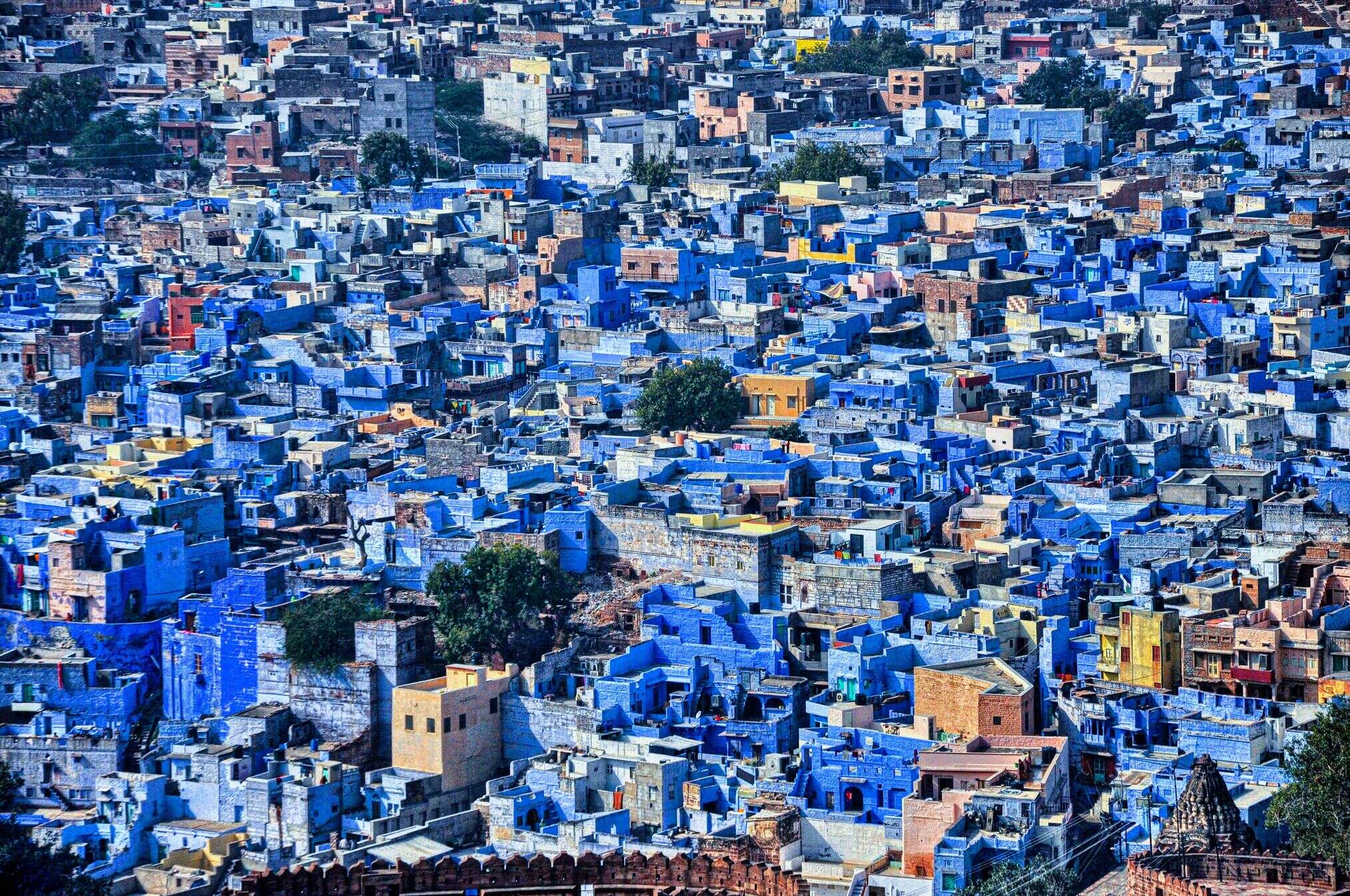 WA India