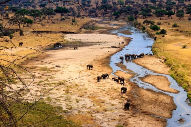 Tanzania Groepsreis - Safari Groepsreis - Afrika Groepsreis - Tanzania Lodges - Tanzania rondreis