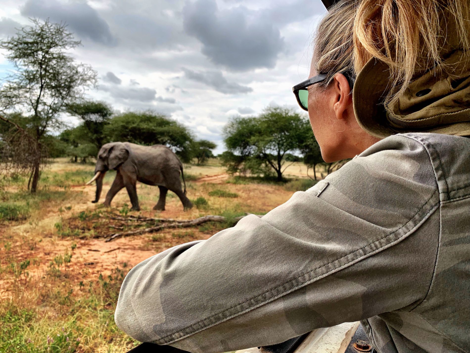 Tanzania Groepsreis - Safari Groepsreis - Afrika Groepsreis - Tanzania Lodges - Tanzania rondreis