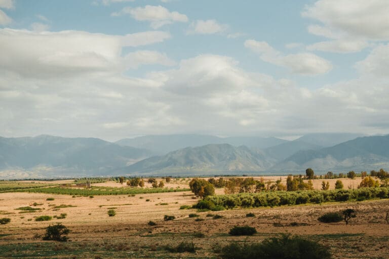 Groepsreis Marokko - Marokko reis - Rondreis Marokko - Soloreis Marokko