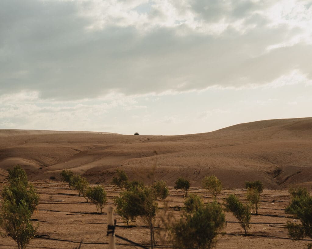 Groepsreis Marokko - Marokko reis - Rondreis Marokko - Soloreis Marokko