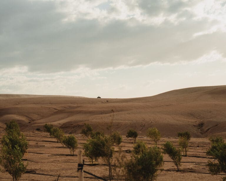 Groepsreis Marokko - Marokko reis - Rondreis Marokko - Soloreis Marokko