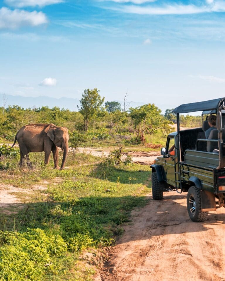 Groepsreis Zuid-Afrika - Rondreis Zuid-Afrika - Zuid-Afrika Soloreis