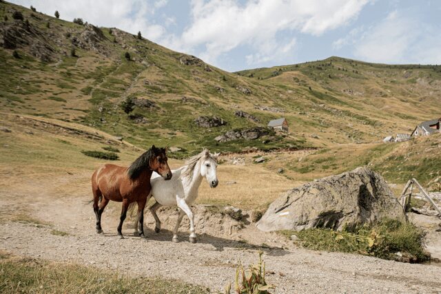Groepsreis Balkan - Rondreis Balkan - Wandelreis Balkan - Trektocht Balkan