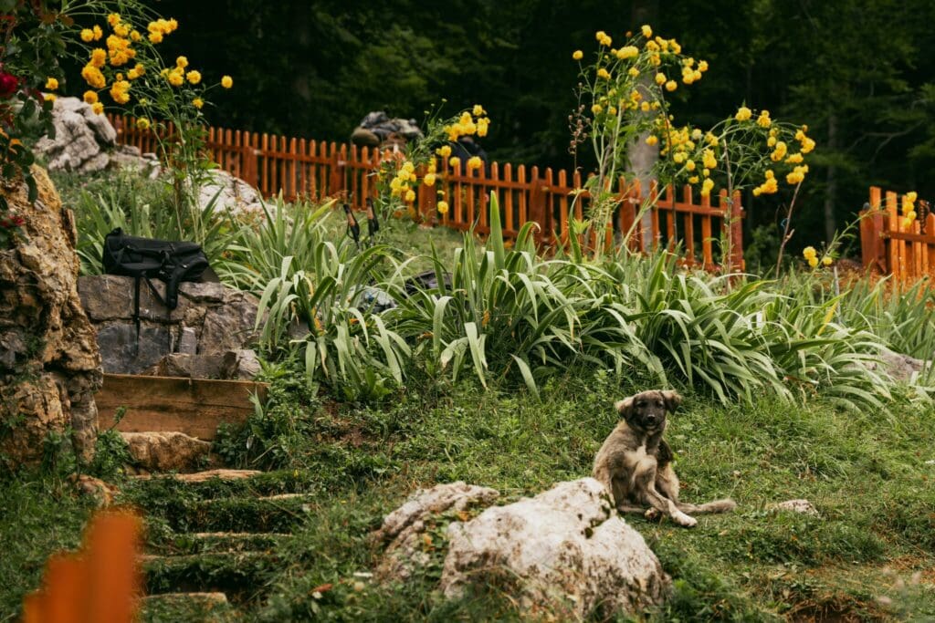 Groepsreis Balkan - Rondreis Balkan - Wandelreis Balkan - Trektocht Balkan