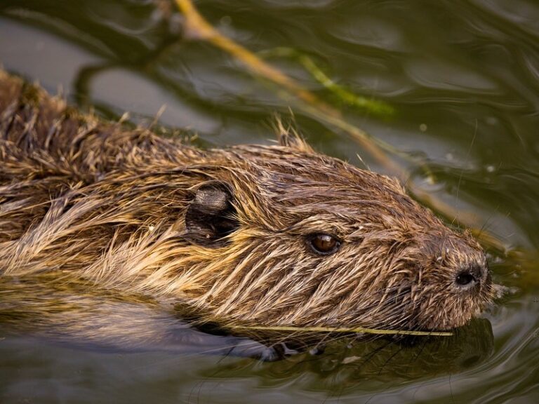 groepsreis Müllerthal’ ‘Müllerthal weadventures’ ‘rondreis Müllerthal’.