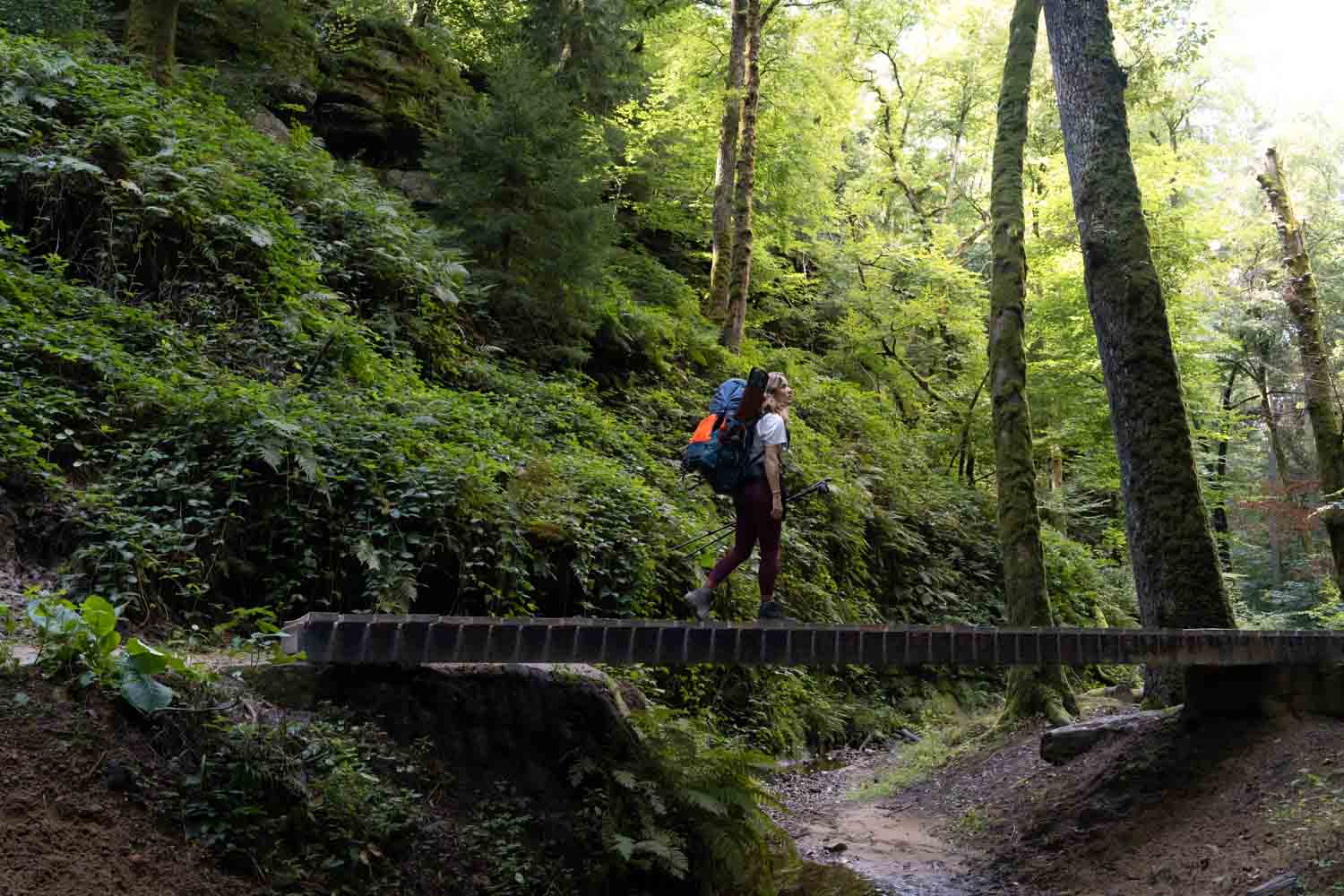 groepsreis Müllerthal’ ‘Müllerthal weadventures’ ‘rondreis Müllerthal’.
