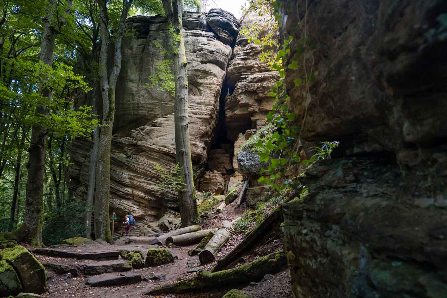 groepsreis Müllerthal’ ‘Müllerthal weadventures’ ‘rondreis Müllerthal’.