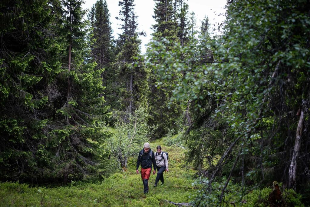 Groepsreis Nordic Woods - Groepsreis Glamping Zweden - Groepsreis glamping - Groepsreis Zweden