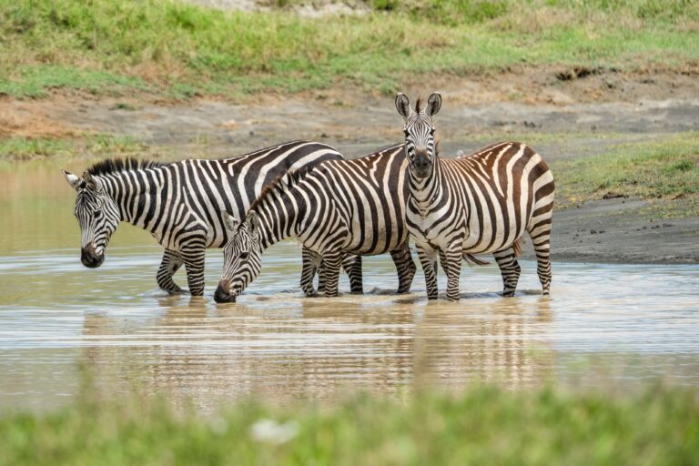 Groepsreis Tanzania - rondreis Tanzania - WeAdventures Tanzania