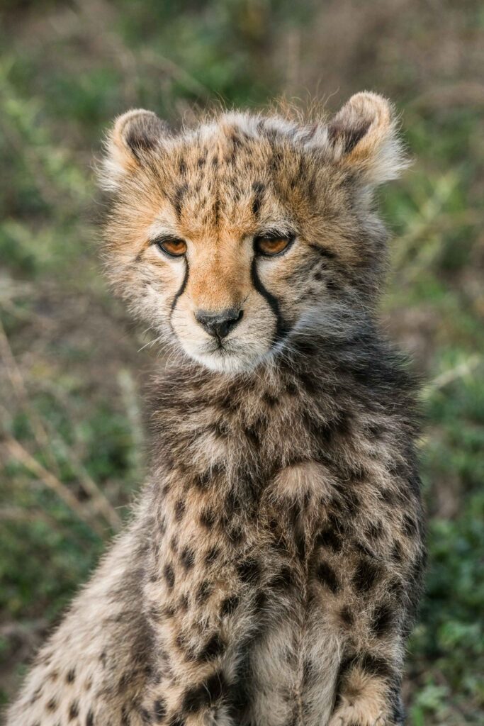 Groepsreis Tanzania - rondreis Tanzania - WeAdventures Tanzania