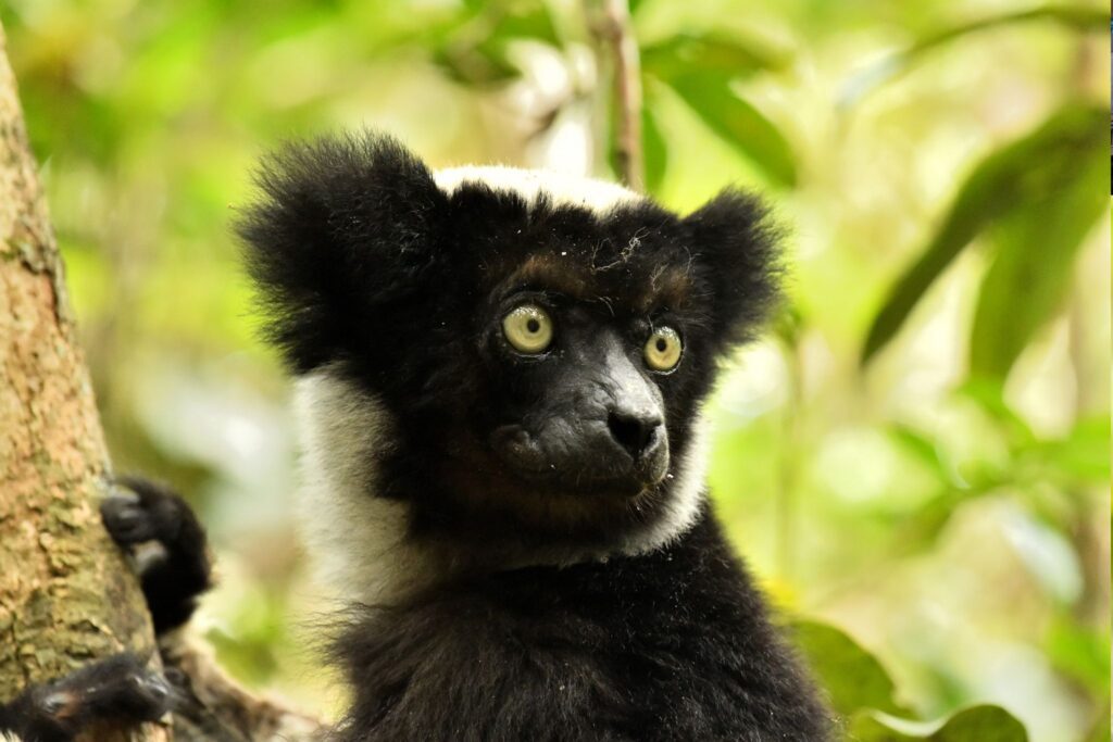 Rondreis Madagascar- groepsreis Madagascar