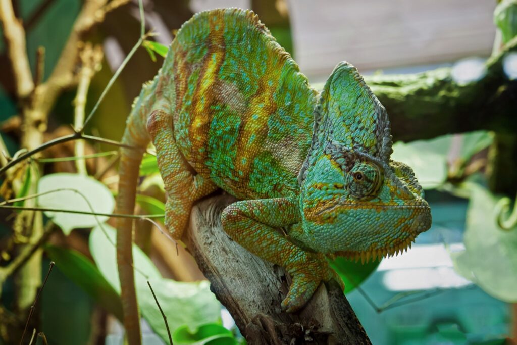 Rondreis Madagascar- groepsreis Madagascar