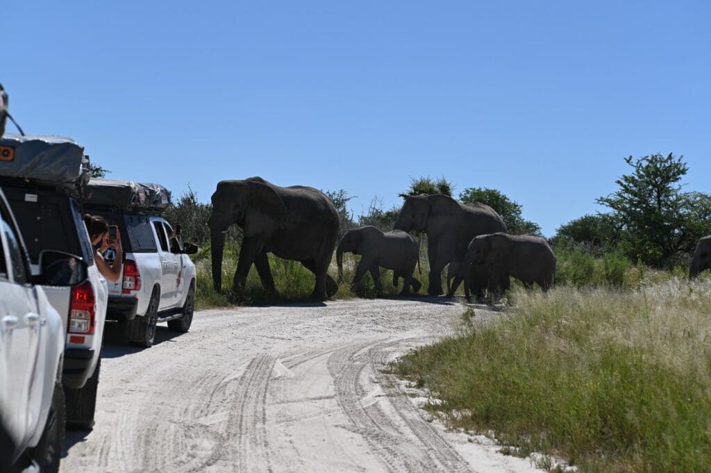 Rondreis Botswana - groepsreis Botswana
