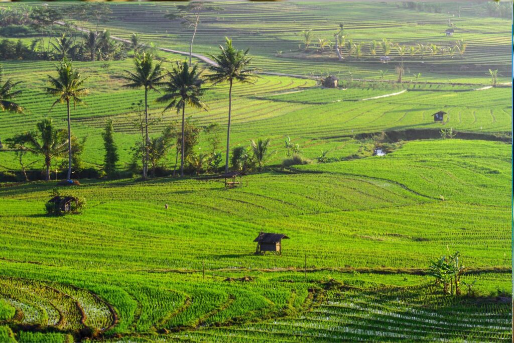 Rondreis Madagascar- groepsreis Madagascar