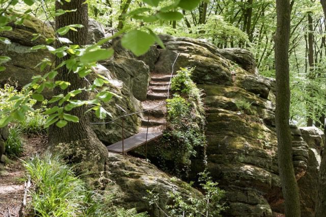 Groepsreis MullerthalTrail - TrailMullerthal - Trail