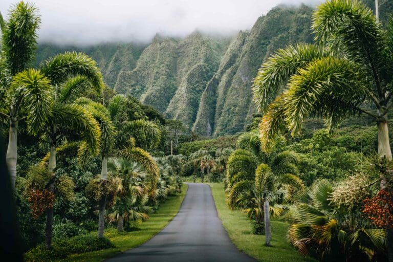 Groepsreis Hawai - Hawai Soloreis - Reizen Hawai - Hawaii Groepsreis - Hawaii Soloreizigers - Rondreis Hawaii - Island Hopping Hawaii