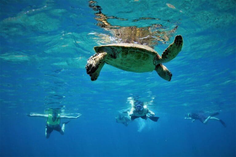 Groepsreis Hawai - Hawai Soloreis - Reizen Hawai - Hawaii Groepsreis - Hawaii Soloreizigers - Rondreis Hawaii - Island Hopping Hawaii