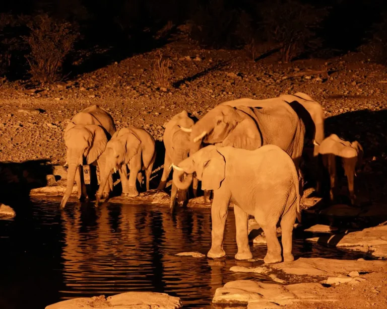 Groepsreis Namibië - WeAdventures Namibië - groepsreizen Namibië - rondreis Namibië