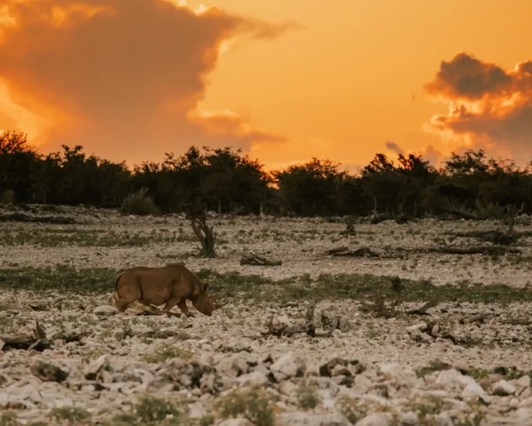 Groepsreis Namibië - WeAdventures Namibië - groepsreizen Namibië - rondreis Namibië