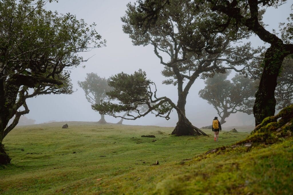Groepsreis Madeira - Rondreis Madeira - Trektocht Madeira - Soloreizigers Madeira - Madeira Solo