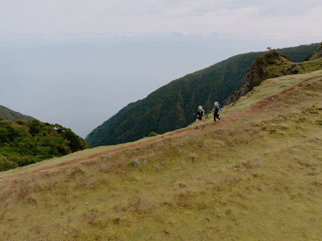 Groepsreis Madeira - Rondreis Madeira - Trektocht Madeira - Soloreizigers Madeira - Madeira Solo