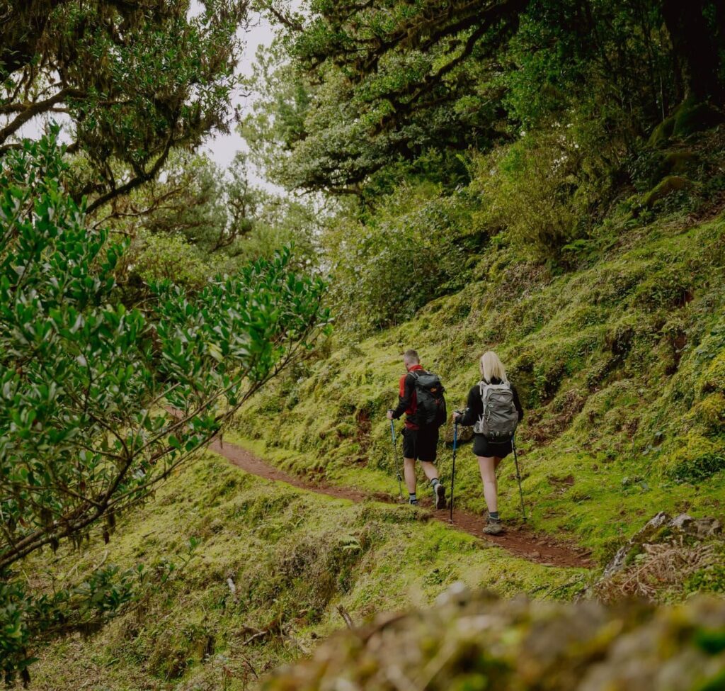 Groepsreis Madeira - Rondreis Madeira - Trektocht Madeira - Soloreizigers Madeira - Madeira Solo